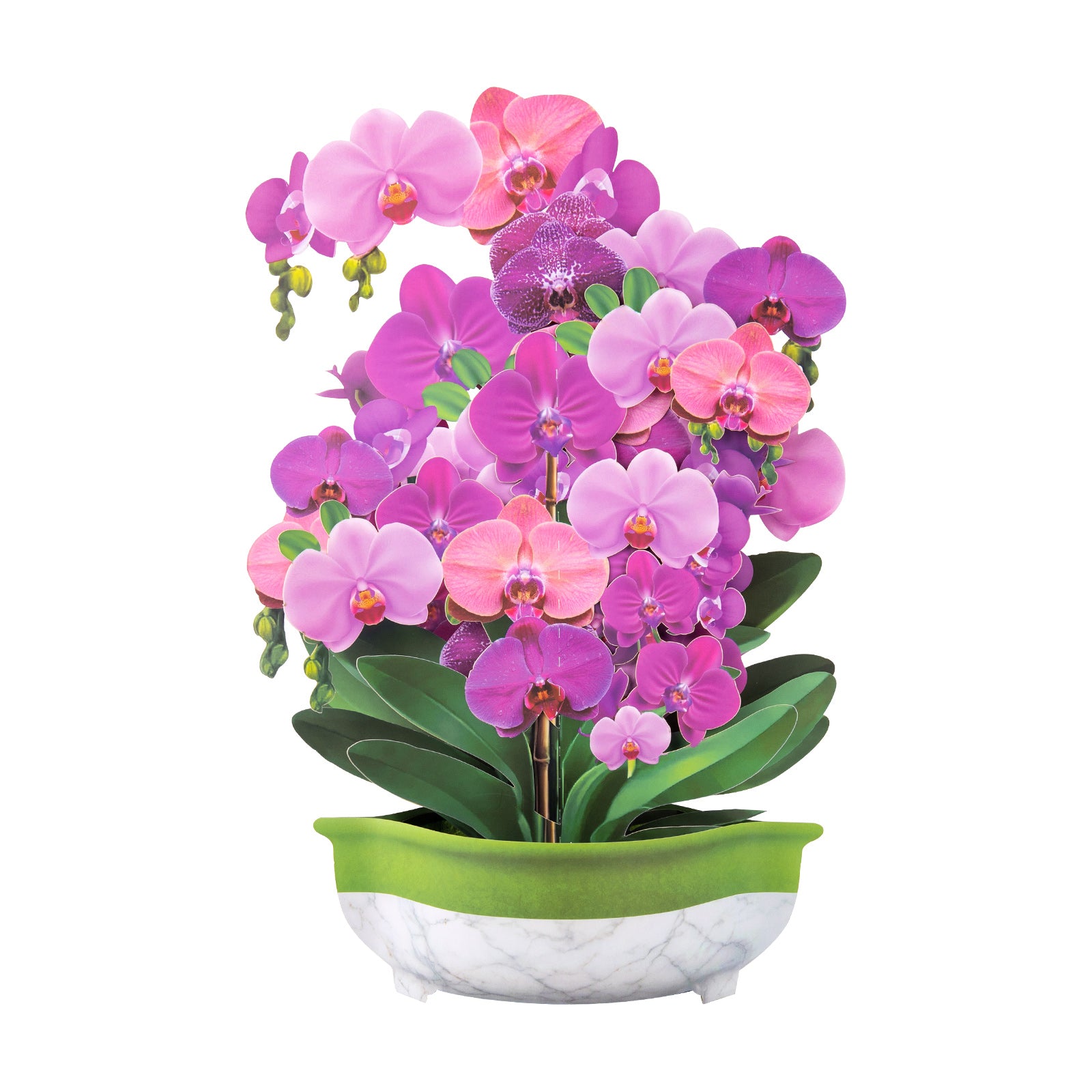 Purple Phalaenopsis Orchid 3D Pop-Up Card | Personalized Elegant Floral Greeting Card