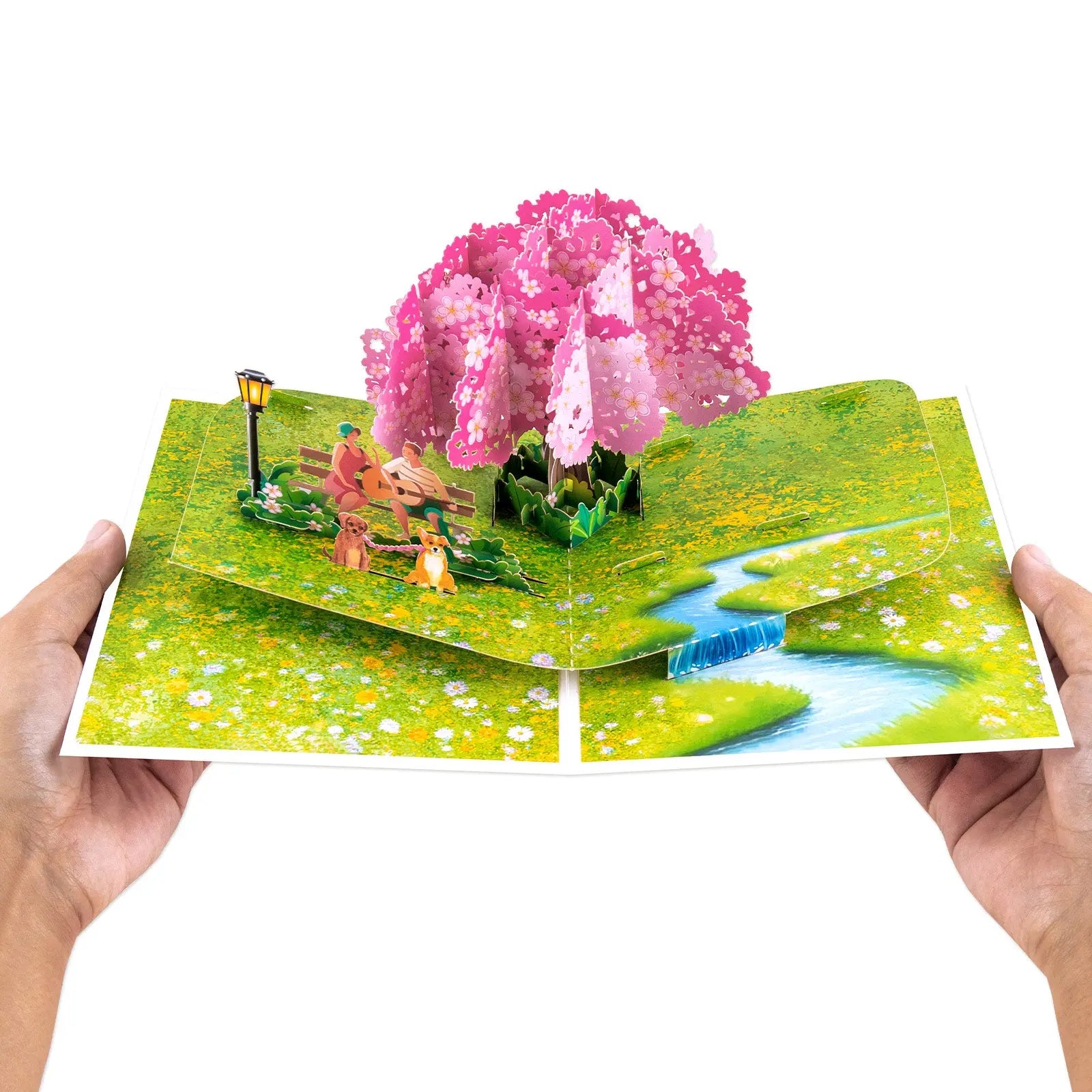 Romantic Love Pop up Card - Perfect Gift for Valentine's Day, Birthday, Wedding, Anniversary Magic Ants