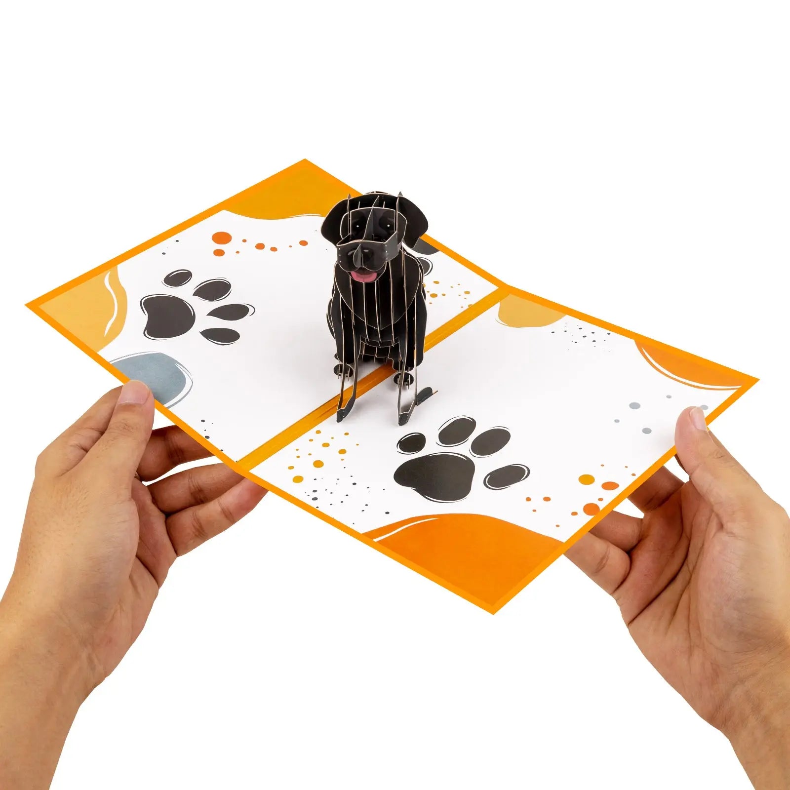 Black Labrador Dog Pop-Up Card for Dog Lovers & Birthdays Magic Ants