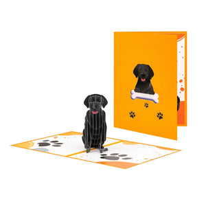 Black Labrador Dog Pop-Up Card for Dog Lovers & Birthdays Magic Ants