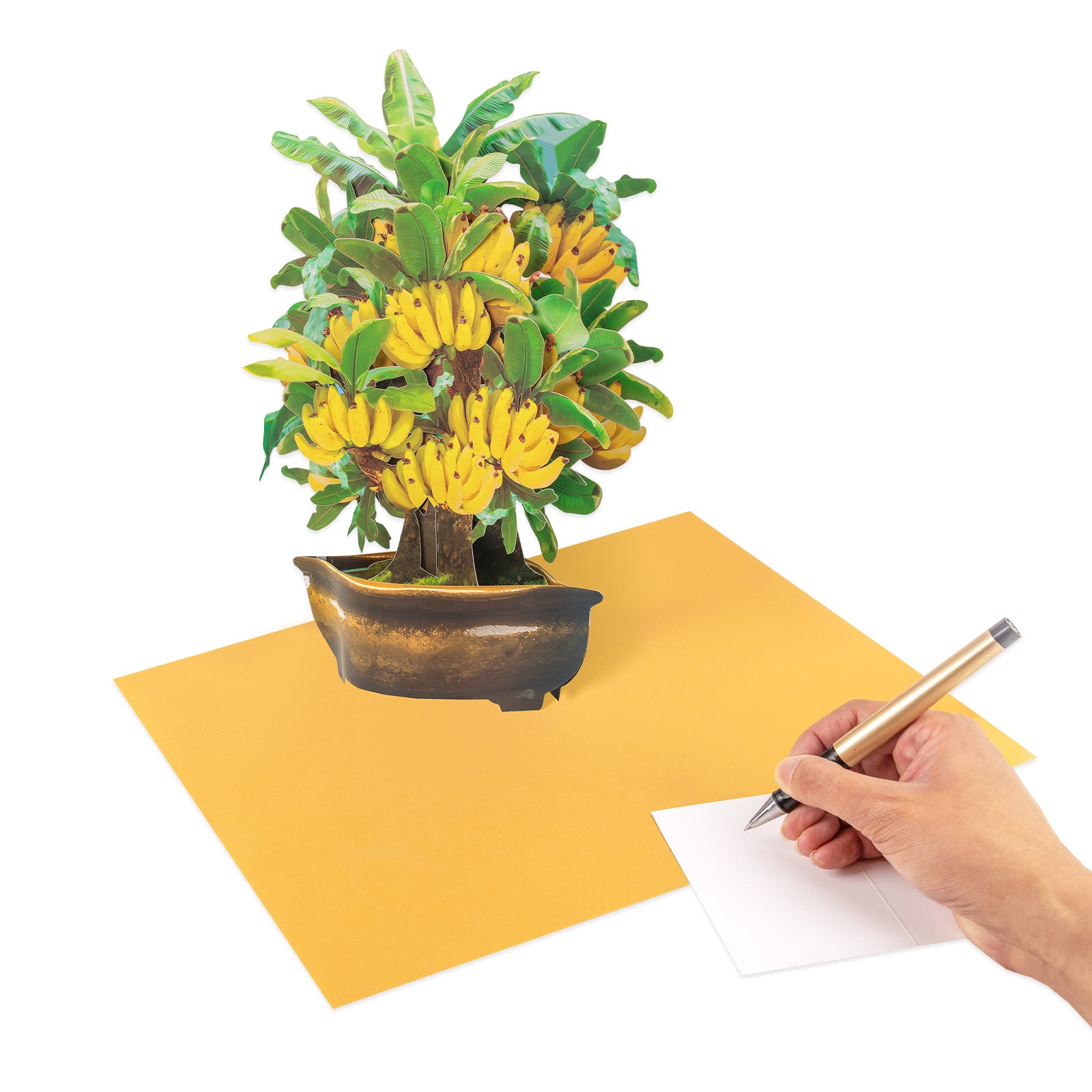 Banana tree 3D card with coordinating envelope