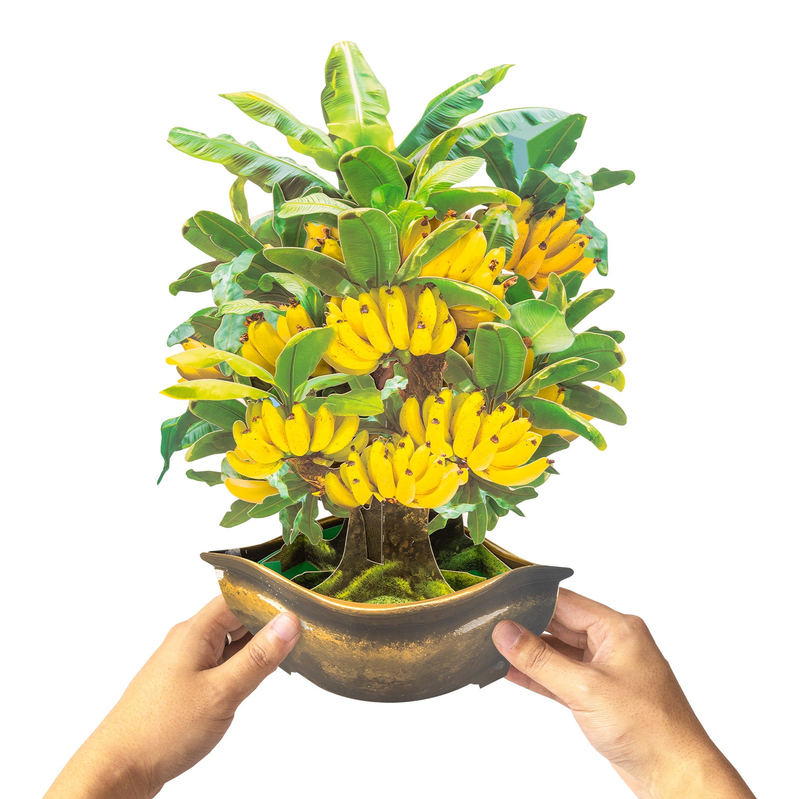 Yellow banana clusters on the tropical 3D pop-up card