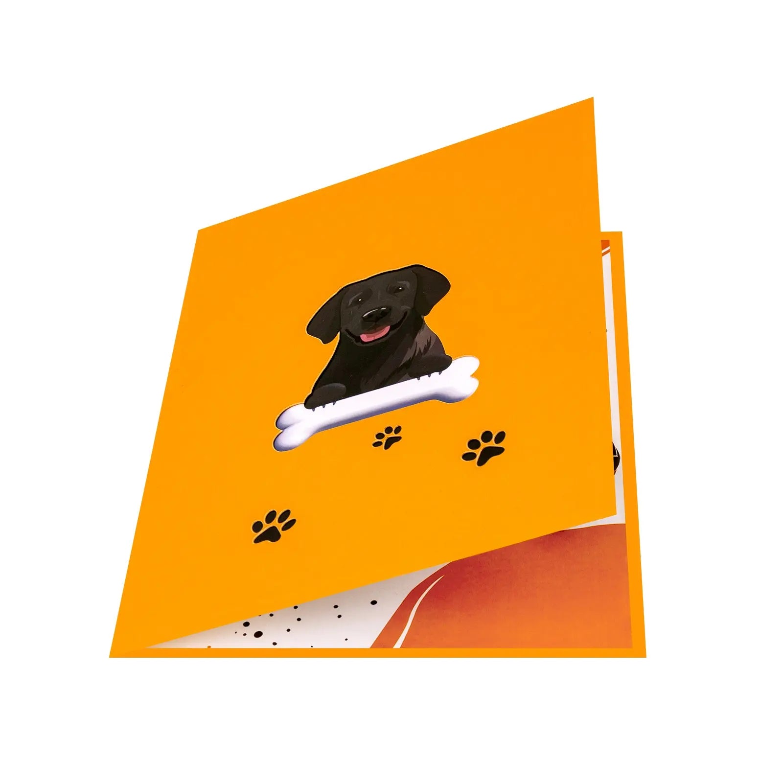 Black Labrador Dog Pop-Up Card for Dog Lovers & Birthdays Magic Ants