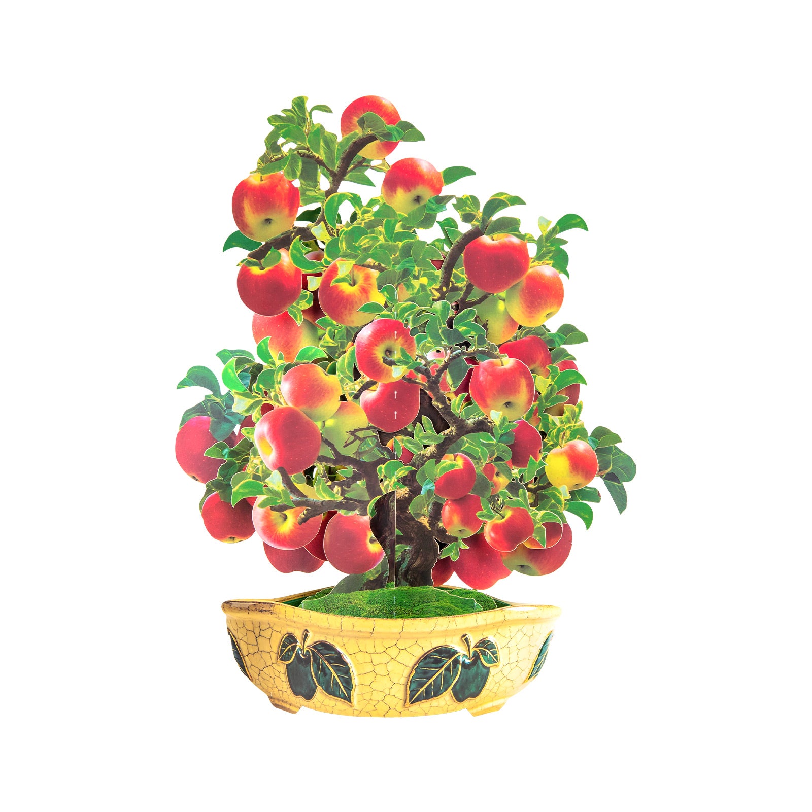 Apple Tree 3D Pop-Up Card | Personalized Unique Greeting Card for Birthdays, Teachers & All Occasions
