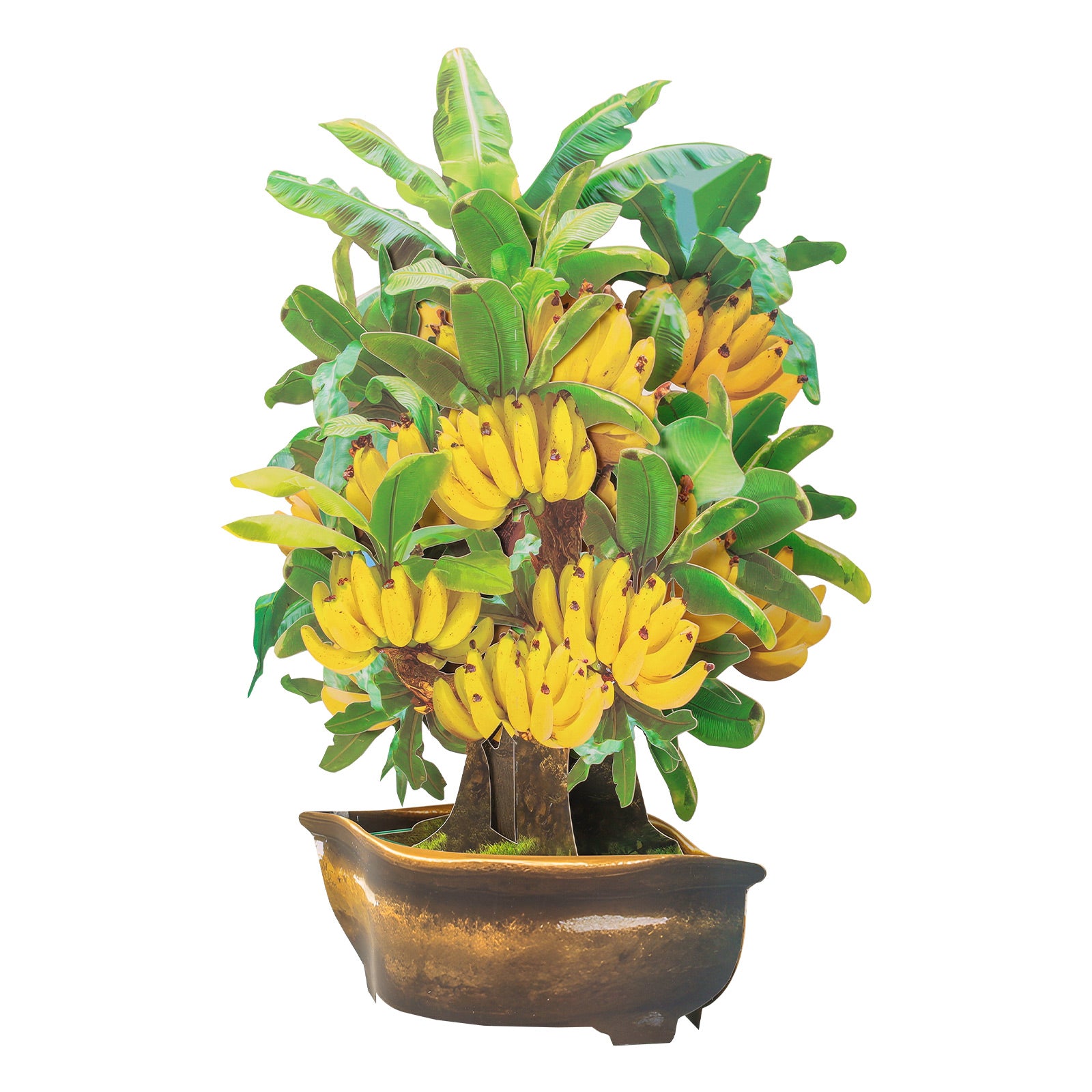 Magic Ants banana tree pop-up card and blank note card
