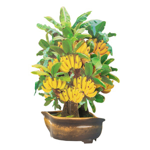 Magic Ants banana tree pop-up card and blank note card