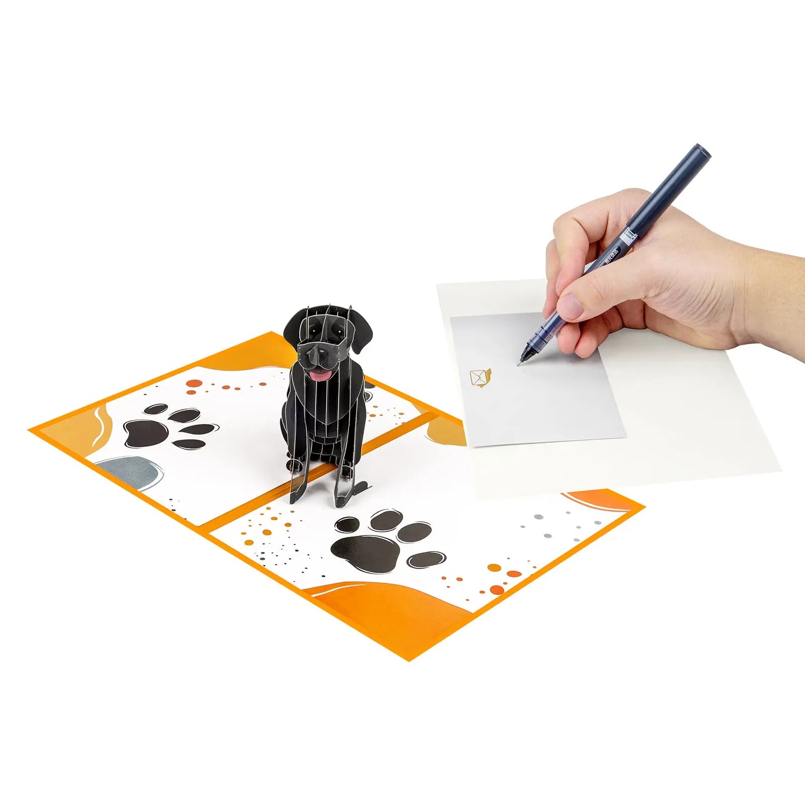 Black Labrador Dog Pop-Up Card for Dog Lovers & Birthdays Magic Ants