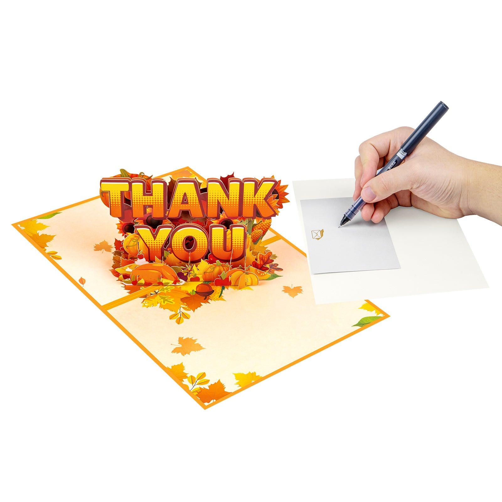 Thank You Pop Up Card – 3D Greeting Card with Envelope & Notecard Magic Ants